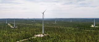 Svenska Kraftnät sågar vindkraften