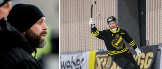 Sirius kan förstärka truppen – med AIK-spelaren som bor i Uppsala • "Vi följer det som händer"