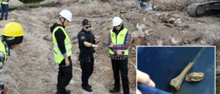Benbit hittad i sökandet efter Sven Sjögren – polisen kallad till gamla tippen i Etelhem • Grävandet pausas