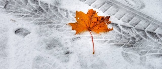 Vinter, höst och sommar på samma gång