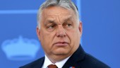EU-parlamentet: Ungern ingen full demokrati