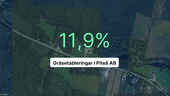 Intäkterna fortsätter växa för Gräsetableringar i Piteå AB
