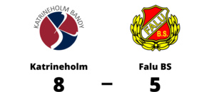 Seger för Katrineholm mot Falu BS efter drömstart