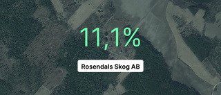 Här är siffrorna som visar hur det gick för Rosendals Skog AB senaste året
