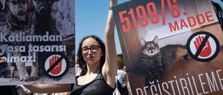 Tusentals i protest mot turkisk "hundmassaker"