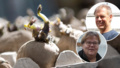 Lokala handlare om potatisbristen: "Slut för två veckor sedan"