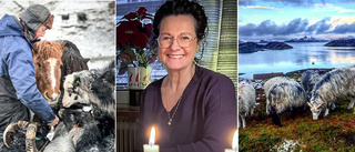 Eva, 61, från Kalix hittade kärleken på en ö ute i Nordsjön