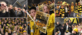 Photo special: Who was in the crowd when AIK won gold?
