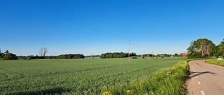 Uppsala kommun fortsätter förstöra bördig åkermark