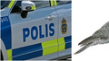 Polisen fick larm om sällsynt rovfågel i Grillby