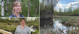 Luossajoki – bäcksystemet som komplicerar hela stadsomvandlingen