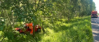 Ung förare körde in i träd – här bärgas bilen 