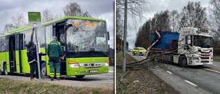 Fallande träd krossade bussruta – under färd: "Otäck upplevelse" 