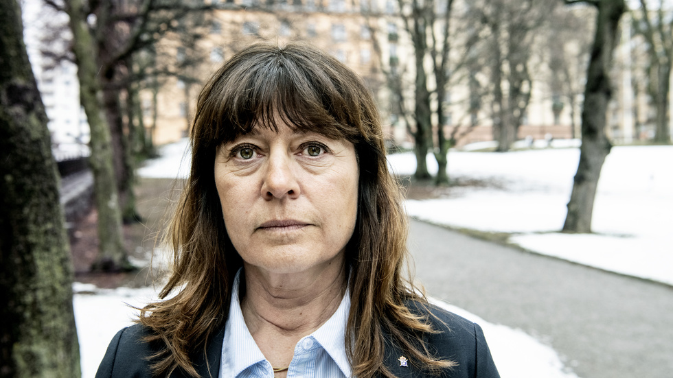 Lise Tamm har en lång erfarenhet som svensk och internationell åklagare. Hon har den rätta blicken för vad som krävs för att få stopp på kriminella livsval och banor.