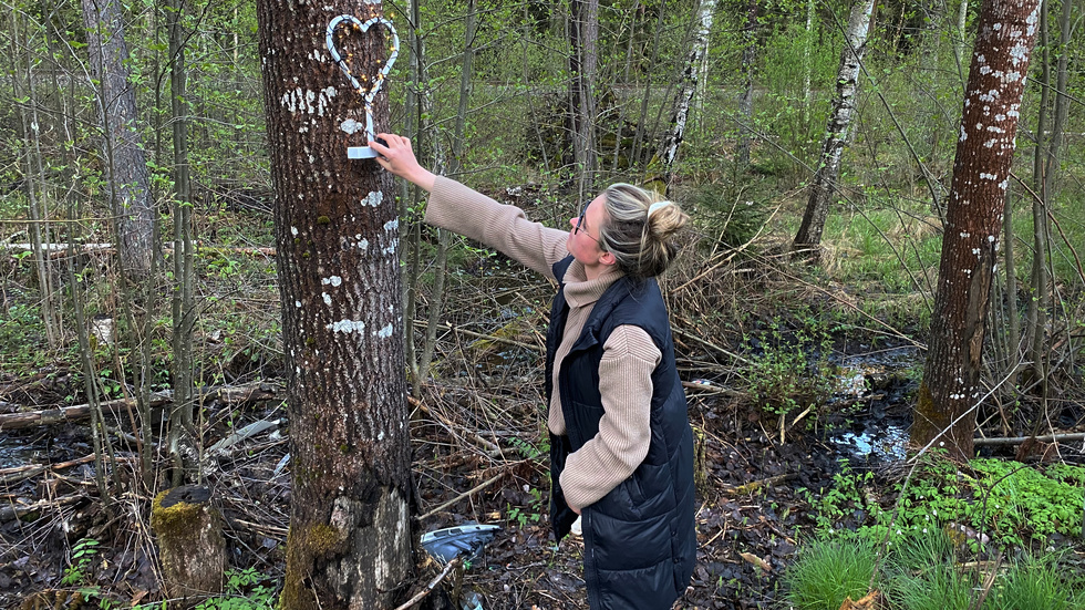 Rebecca Hjort fixar en ljusslinga i hjärtat på trädet där olyckan skedde. Att göra fint och pyssla känns viktigt. "Ännu mer på kyrkogården, det ger en slags frid."