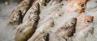 Varningen: Förhöjda halter gift i fisk från Vättern – nya kostråd