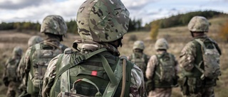 Sverige deltar när ukrainska rekryter utbildas