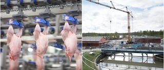 Kycklingproducentens utsläpp leder till vite i domstolen