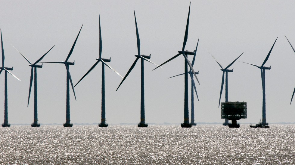 Dagens debattör hävdar att EU vill förvandla Serige till en "vindkraftskoloni". 