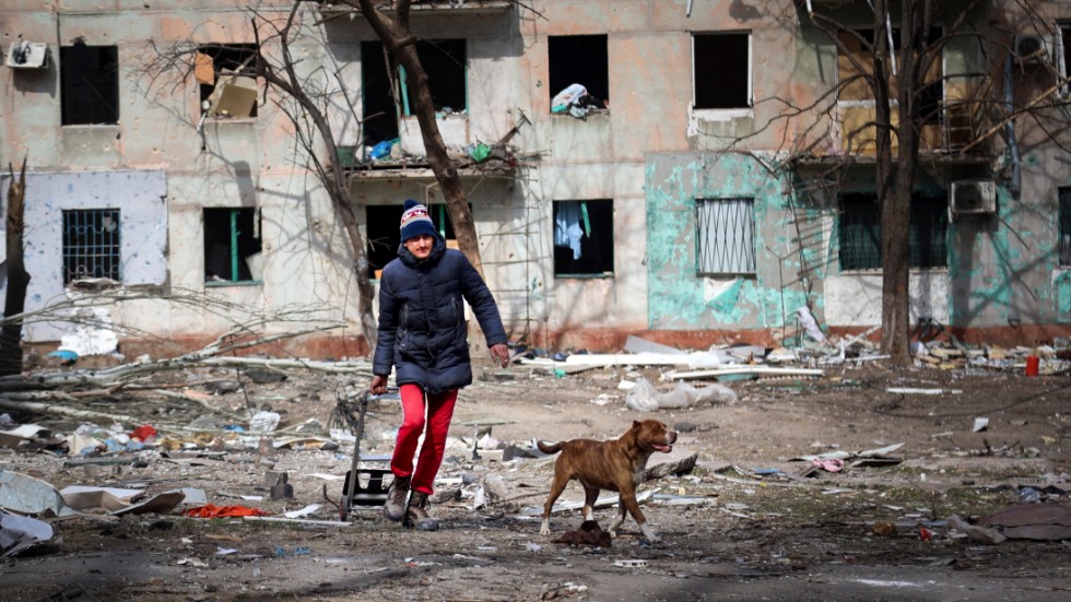 En man går med sin hund i utkanten av ett sönderskjutet Mariupol. Bilden är tagen i slutet av mars.