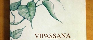 Vipassanameditation - som den lärs ut av Goenka