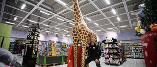 Giraffen säljs till förmån för sjuka barn