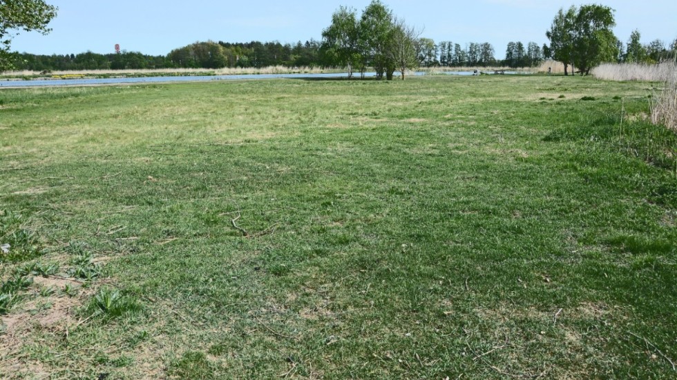 Ekeby våtmark är en viktig del av vattnets rening och hjälper till att bryta ner ämnen som annars skulle kunna påverka vår miljö negativt., skriver Markus Nylander, chef VA produktion på Eskilstuna Energi och Miljö.