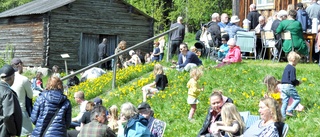 Blågult firande vid Hängengården