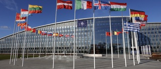 Nato är spiken i kistan för svensk exceptionalism