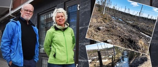 Svenska kyrkans skogsbruk i Rutvik kritiseras: "Hygget är rent anskrämligt" • Kyrkan: Håller inte med