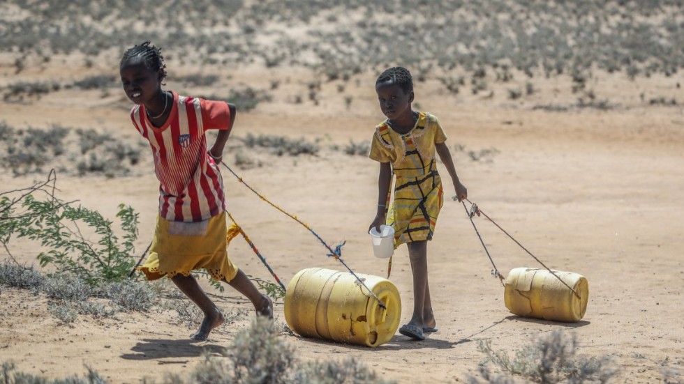 Två flickor drar vattenbehållare tillbaka till deras bostad i norra Kenya. Arkivbild.
