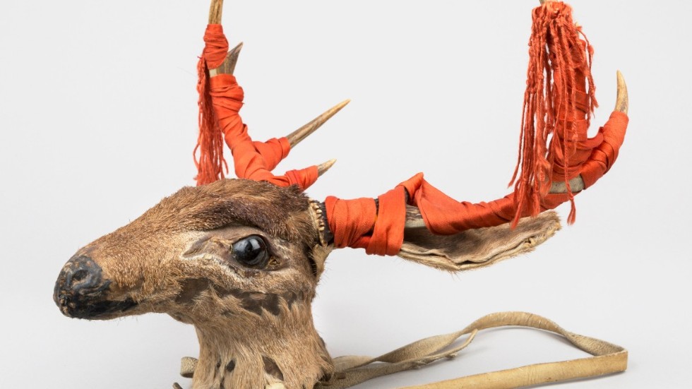 Det ceremoniella hjorthuvudet – "maaso kova" – är ett av flera föremål som Sverige återlämnade till Mexiko och yaqui-folket under en ceremoni i Stockholm. Pressbild.