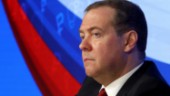 Medvedev om Natoansökan: Ett mindre hot
