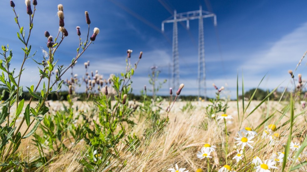 Industrins omställning till fossilfritt i norra Sverige kräver en stor elproduktion. Svenska Kraftnäts investeringsprogram syftar till att halvera ledtider i utbyggnaden av elnätet för att tillgodose de kommande behoven av el.