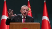 Efter Turkiets utspel: "Ankara har inte bråttom"