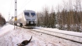 Tågtrafik största orsaken till örndöd – bansträcka i Vingåker skördar flest liv: “Det finns ett stort mörkertal”