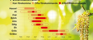 Allergiker varnas – kraftiga luftföroreningar