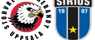 Spelarbetyg: Storvreta–Sirius