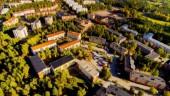 Pinsamt med planerad skövling i Eriksberg