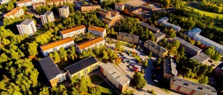 Pinsamt med planerad skövling i Eriksberg