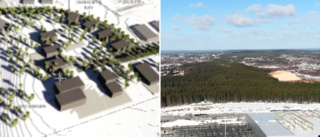 Stora investeringar i ny företagspark – vill locka verksamheter av mindre storlek • Så dyra blir tomterna: ”En ganska stor expansion”