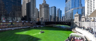 Kritik mot att Chicagofloden färgas grön