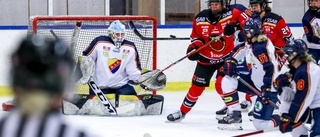 Luleå Hockey/MSSK bröt ner Djurgården – så var matchen minut för minut