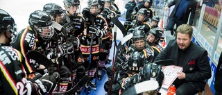 Luleå Hockey presenterar nyheter 11.00