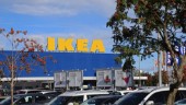Ikea utvecklar vegetarisk köttbulle