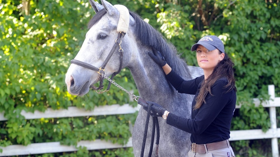 Under helgen kvalar Sandra Fransson och hästen Aeyla i Falsterbo Horse Show.
