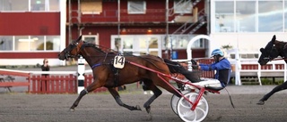 Hemmaamatören drömmer om V75-start efter den virvlande segerspurten: "Emelie har gjort ett jättejobb med hästen"