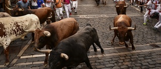 Tre män döda efter tjurrusningar i Spanien