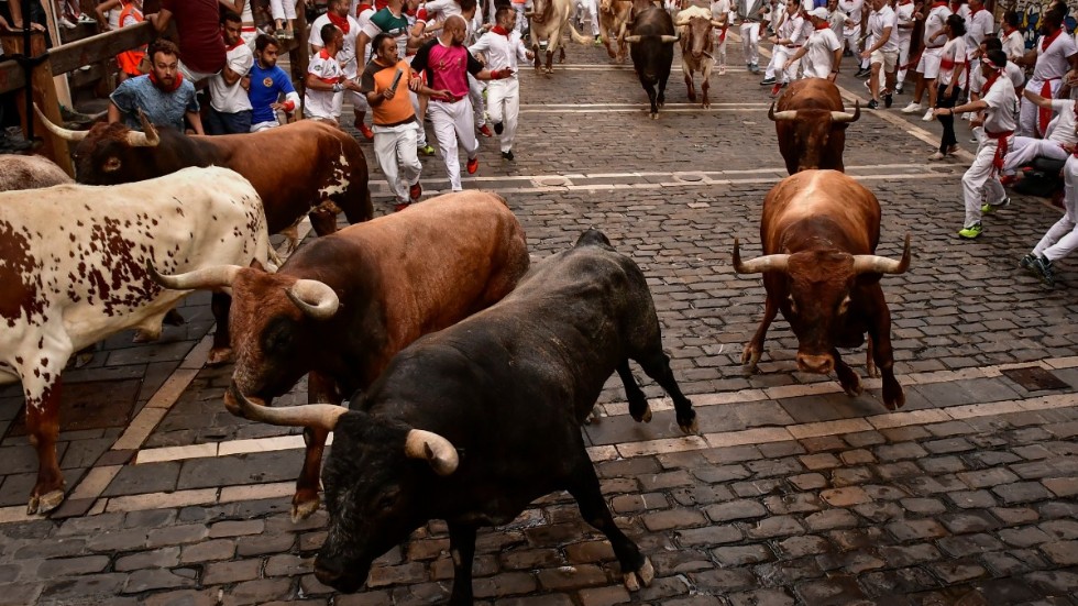 Tjurrusning under San San Fermín-festivalen i Pamplona i mitten av juli. De senaste åtta åren har 20 personer dött under tjurrusningar runt om i Spanien, enligt djurrättsorganisationer.
