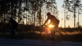Miljövänligare om cyklister låter bilar passera
